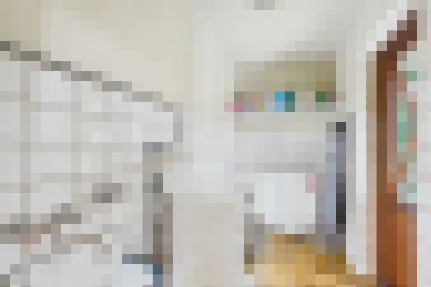 Piet Heinstraat 38 Kloosterzande thumbnail 16