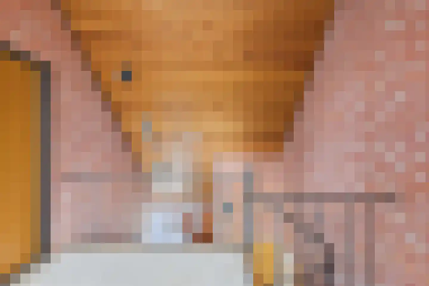 Piet Heinstraat 38 Kloosterzande thumbnail 21