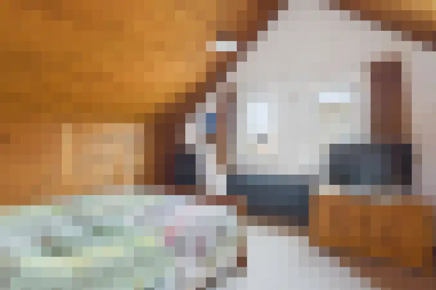 Piet Heinstraat 38 Kloosterzande thumbnail 22