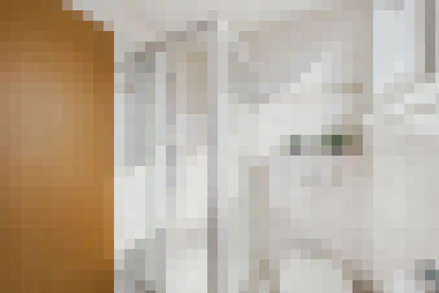 Piet Heinstraat 38 Kloosterzande thumbnail 25