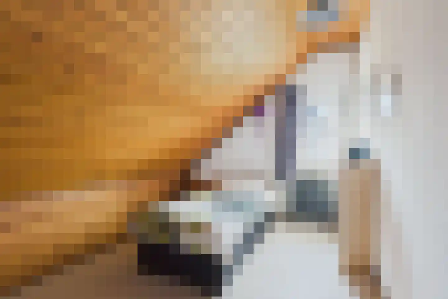 Piet Heinstraat 38 Kloosterzande thumbnail 26