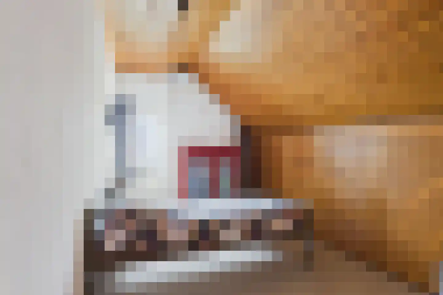 Piet Heinstraat 38 Kloosterzande thumbnail 27