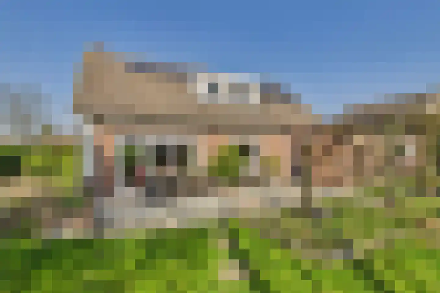 Piet Heinstraat 38 Kloosterzande thumbnail 28
