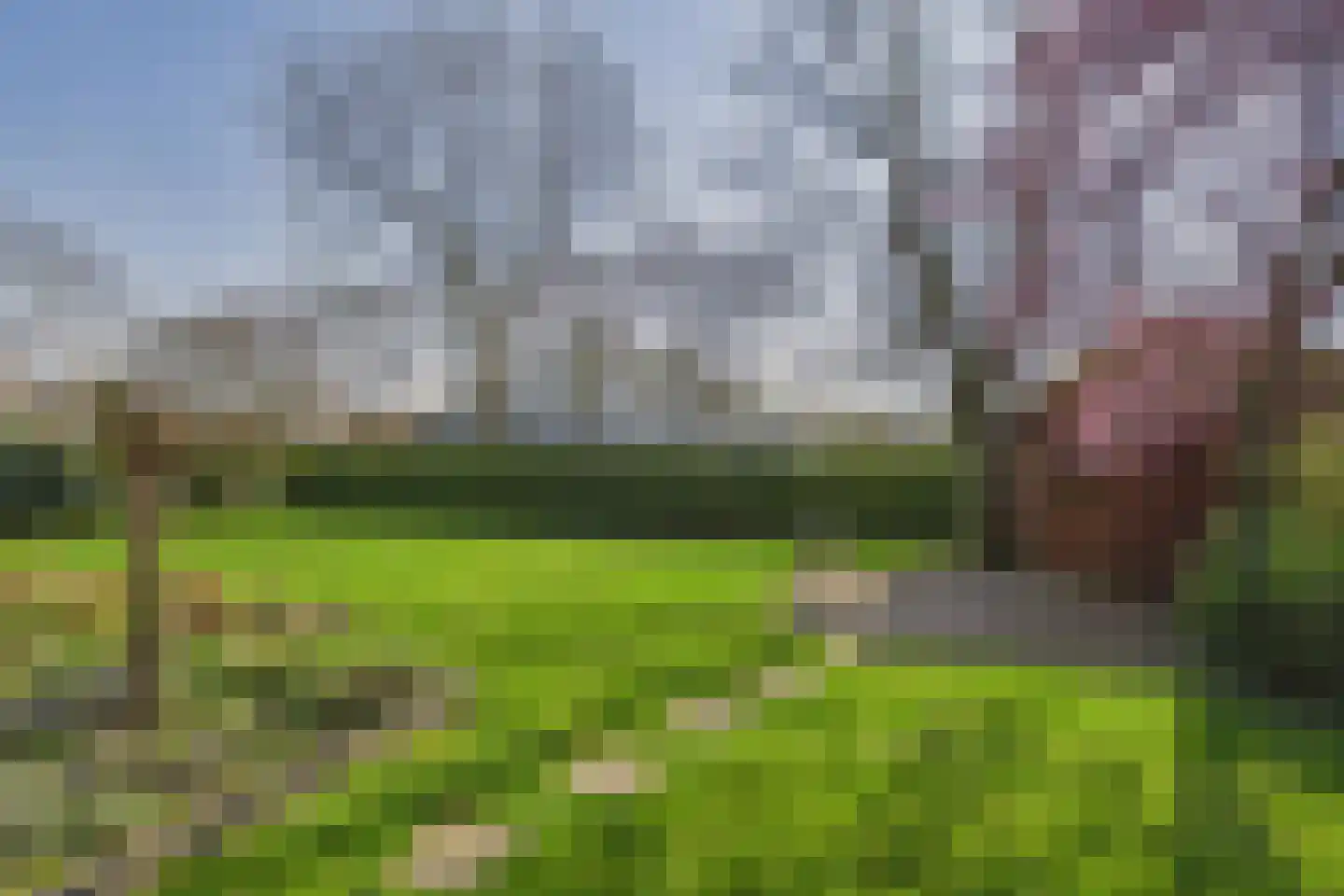 Piet Heinstraat 38 Kloosterzande thumbnail 32
