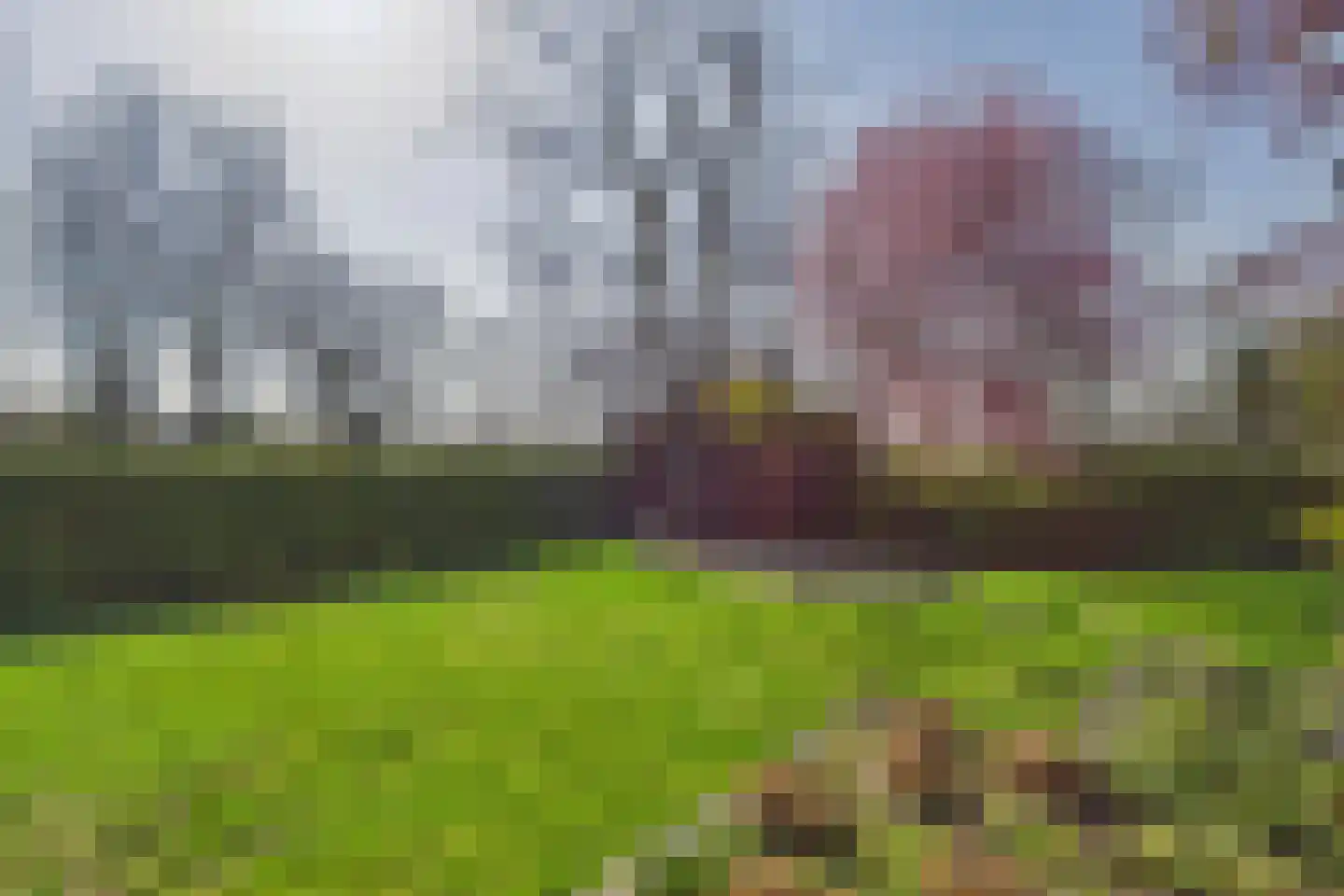 Piet Heinstraat 38 Kloosterzande thumbnail 5