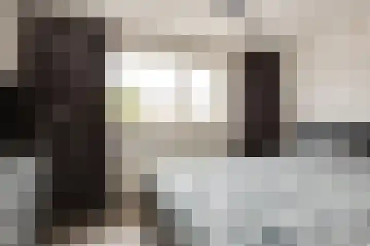 Piet Heinstraat 4 Bleiswijk thumbnail 12