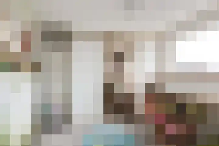 Piet Heinstraat 4 Bleiswijk thumbnail 13