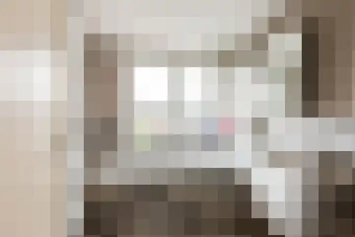 Piet Heinstraat 4 Bleiswijk thumbnail 16