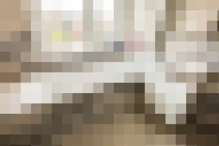 Piet Heinstraat 4 Bleiswijk thumbnail 17