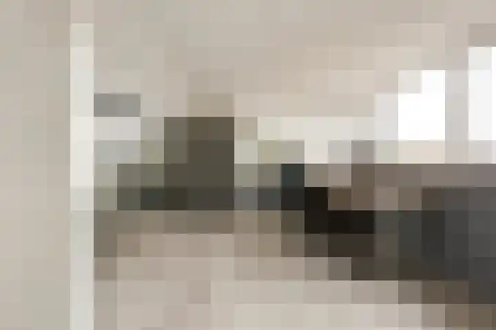 Piet Heinstraat 4 Bleiswijk thumbnail 19