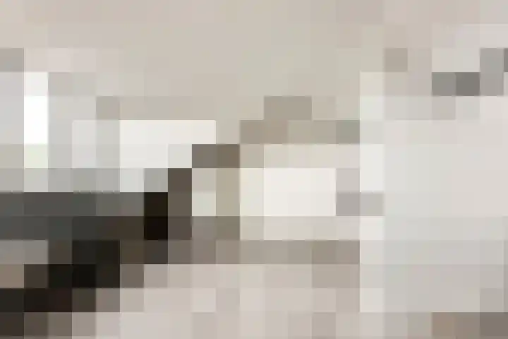 Piet Heinstraat 4 Bleiswijk thumbnail 22