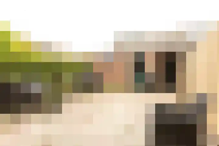 Piet Heinstraat 4 Bleiswijk thumbnail 24