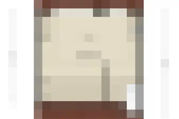 Piet Heinstraat 4 Bleiswijk thumbnail 32