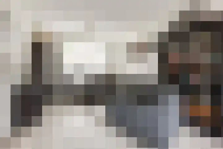 Piet Heinstraat 4 Bleiswijk thumbnail 4