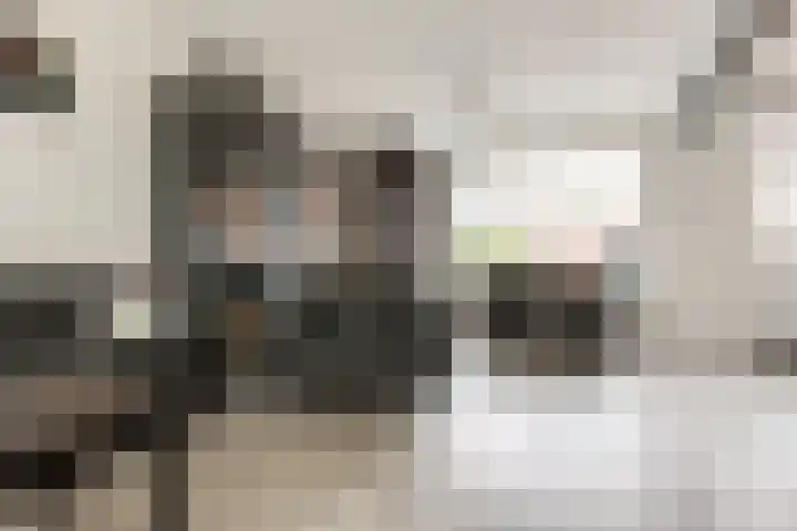 Piet Heinstraat 4 Bleiswijk thumbnail 5