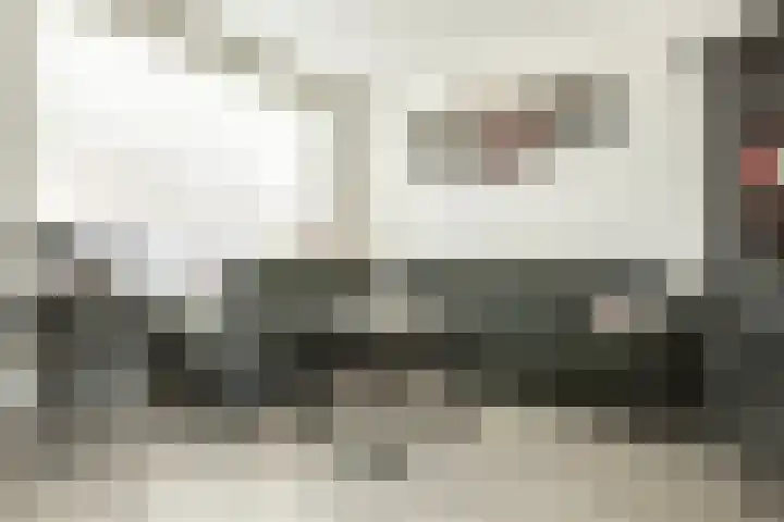 Piet Heinstraat 4 Bleiswijk thumbnail 6