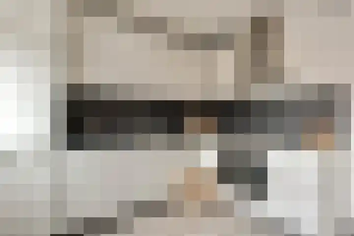 Piet Heinstraat 4 Bleiswijk thumbnail 8
