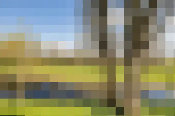 Piet Heinstraat 4 Maarssen thumbnail 12