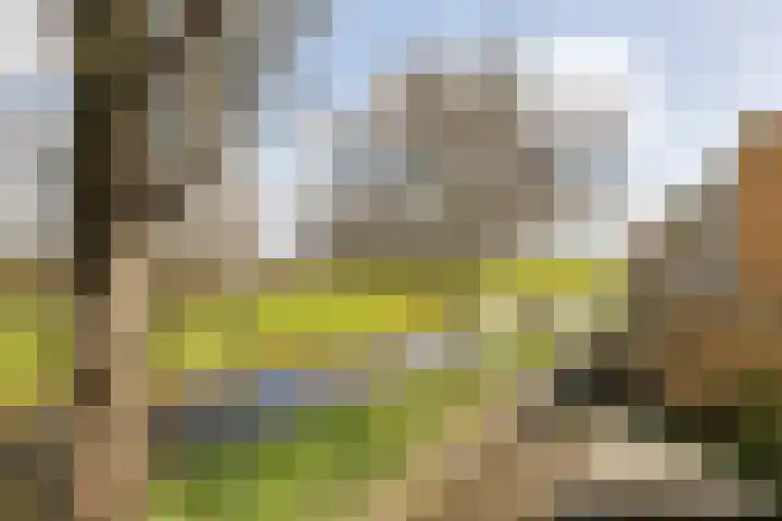 Piet Heinstraat 4 Maarssen thumbnail 13