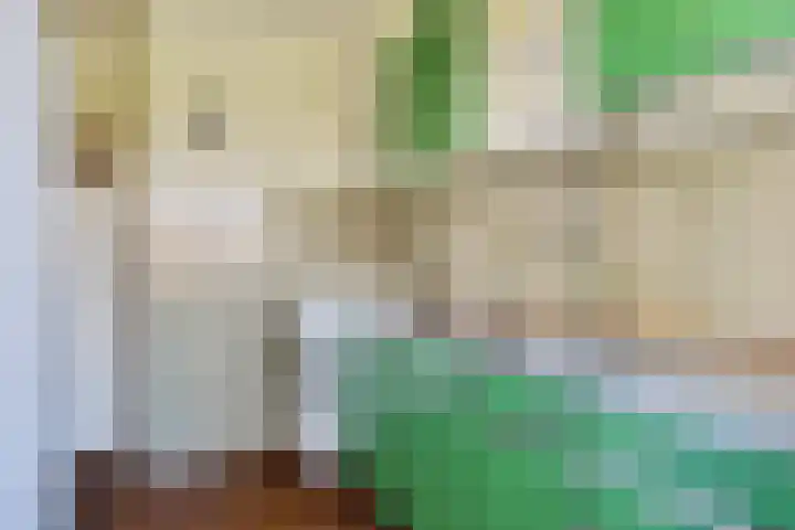 Piet Heinstraat 4 Maarssen thumbnail 16