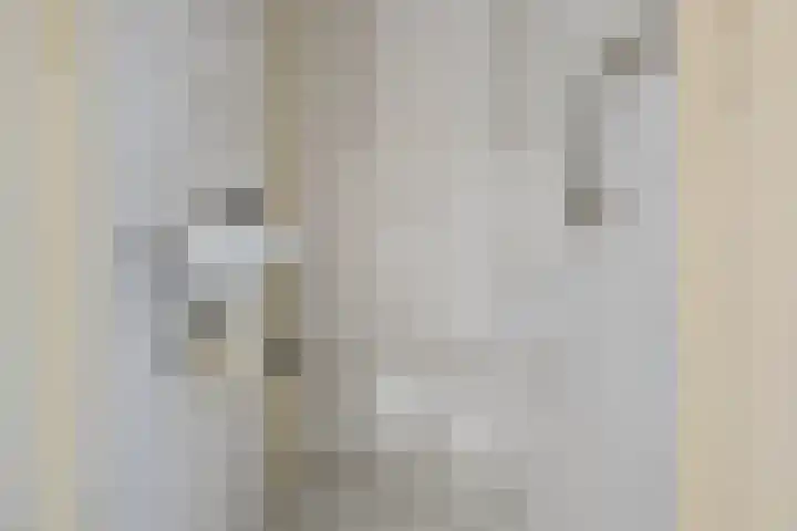 Piet Heinstraat 4 Maarssen thumbnail 33