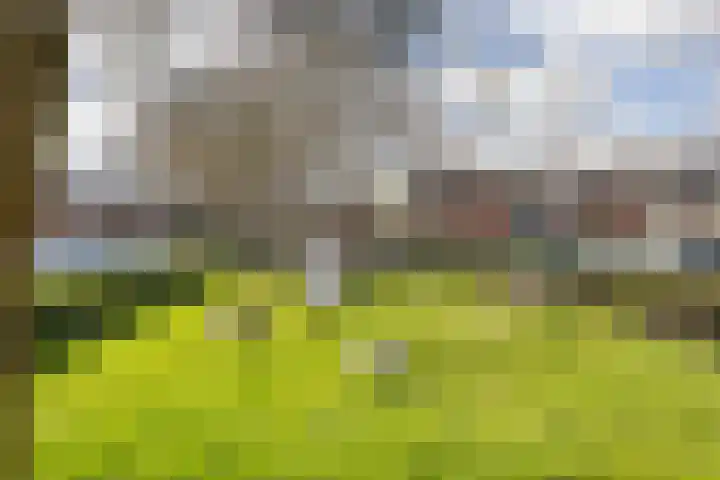 Piet Heinstraat 4 Maarssen thumbnail 37