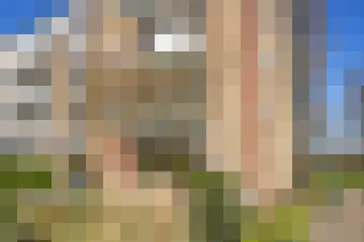 Piet Heinstraat 4 Maarssen thumbnail 38