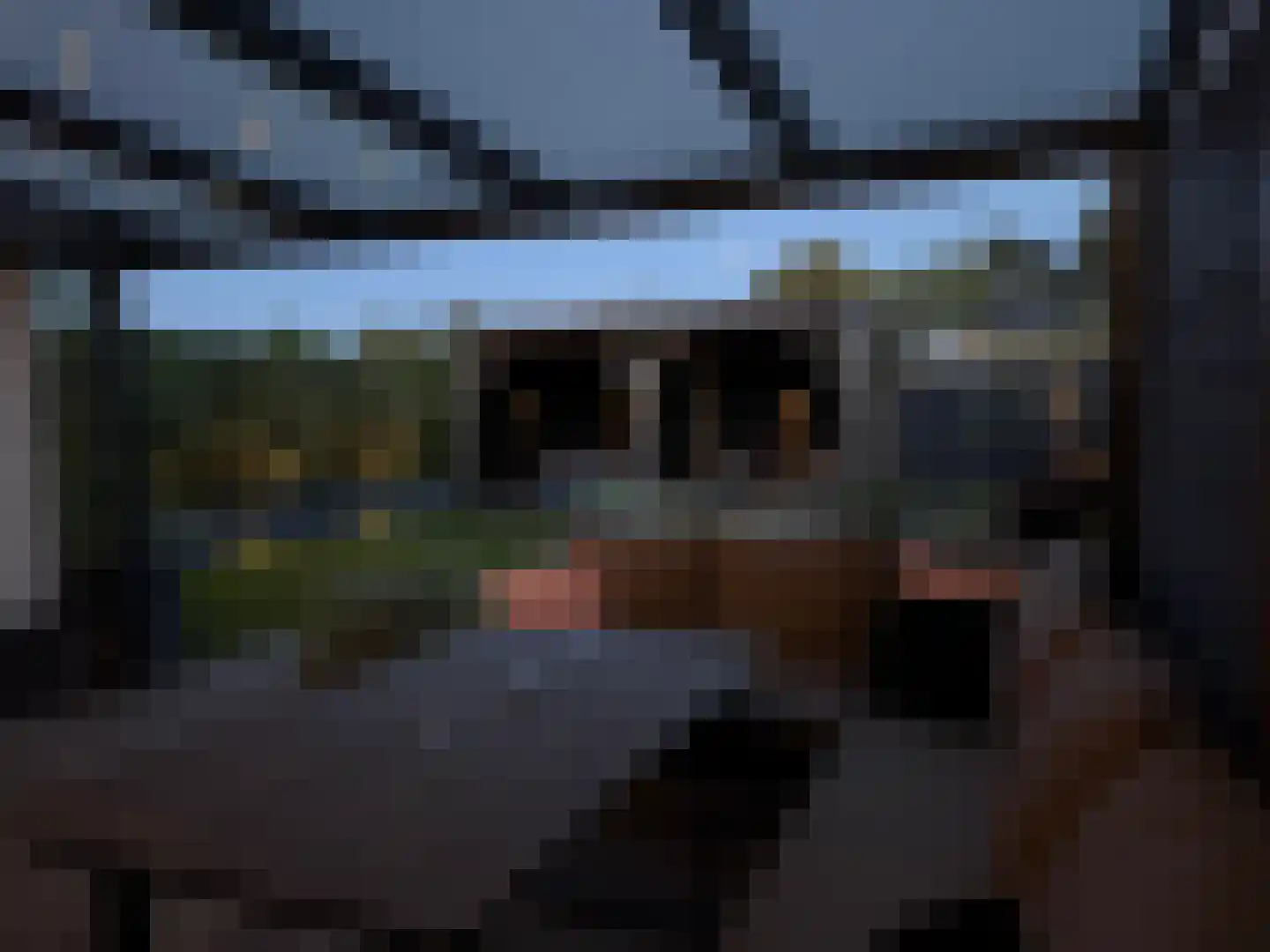 Piet Heinstraat 42 Delfzijl thumbnail 24