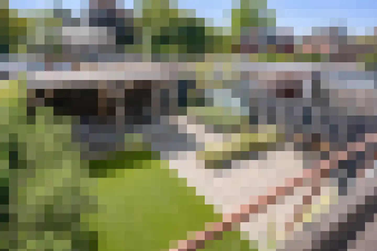 Piet Heinstraat 42 Delfzijl thumbnail 56