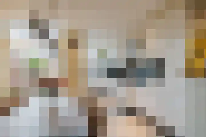 Piet Heinstraat 42 IJmuiden thumbnail 12