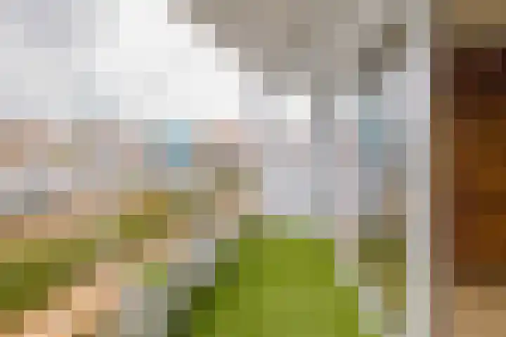 Piet Heinstraat 42 IJmuiden thumbnail 35