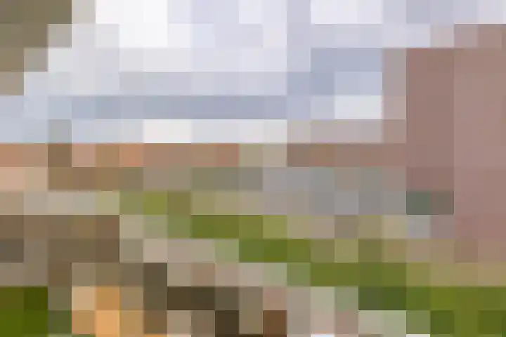 Piet Heinstraat 42 IJmuiden thumbnail 37