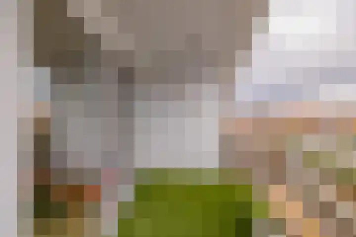 Piet Heinstraat 42 IJmuiden thumbnail 38