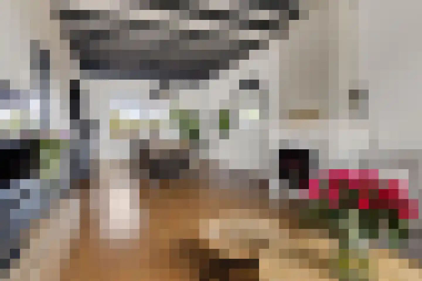 Piet Heinstraat 45 A Delfzijl thumbnail 18
