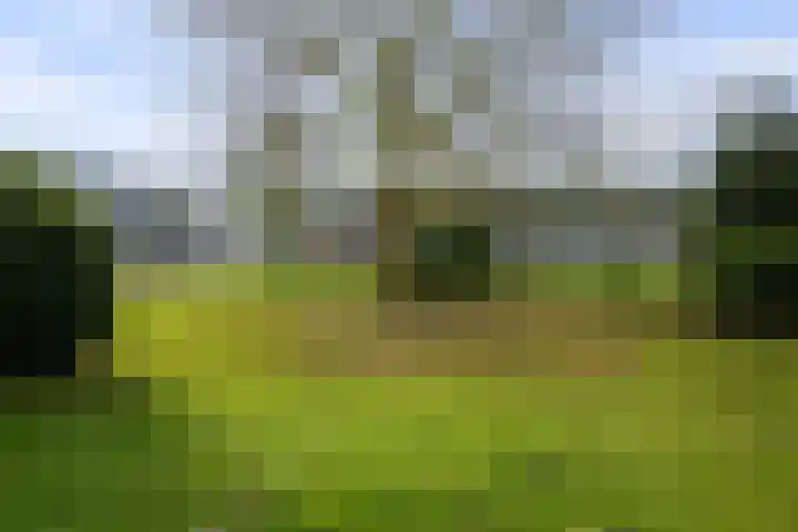 Piet Heinstraat 45 Boxmeer thumbnail 20