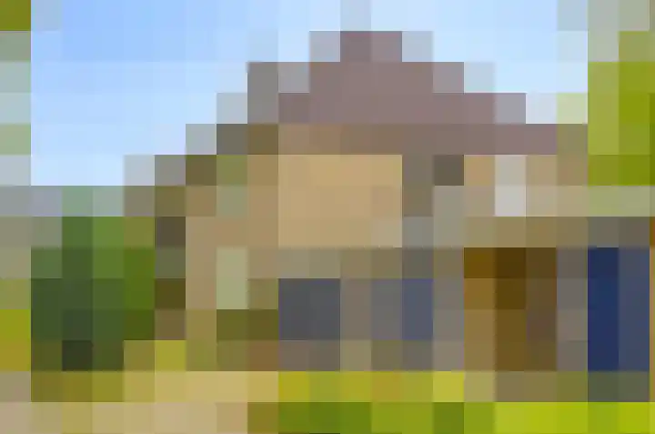 Piet Heinstraat 45 Boxmeer thumbnail 23
