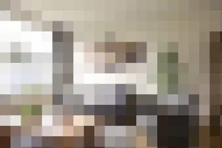 Piet Heinstraat 45 Boxmeer thumbnail 8