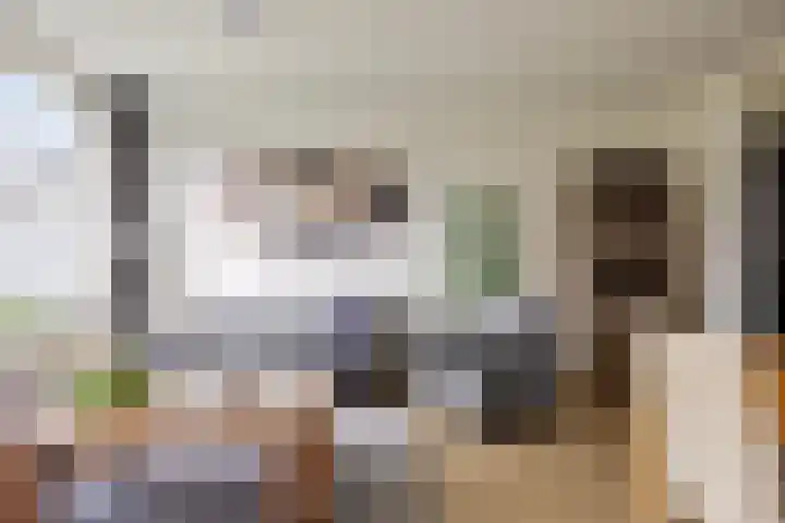 Piet Heinstraat 45 Boxmeer thumbnail 9