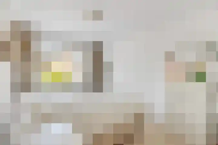 Piet Heinstraat 45 Hilversum thumbnail 17