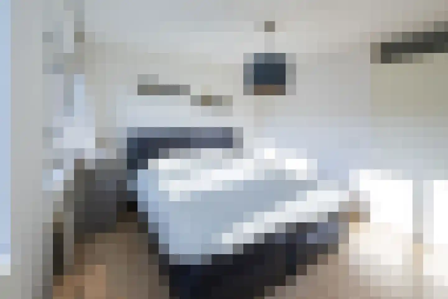 Piet Heinstraat 47 Zwolle thumbnail 13
