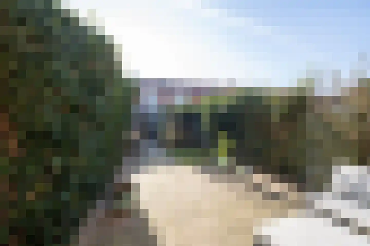 Piet Heinstraat 47 Zwolle thumbnail 22