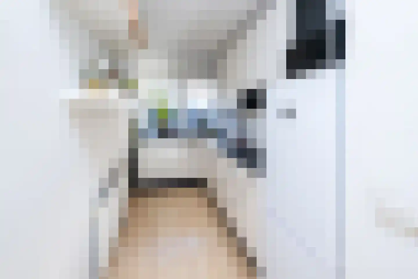 Piet Heinstraat 47 Zwolle thumbnail 8