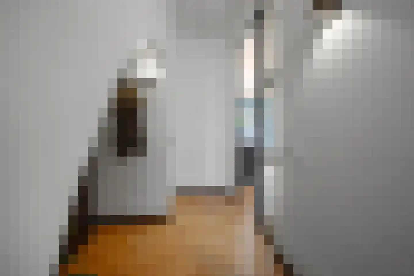 Piet Heinstraat 48 Delft thumbnail 14