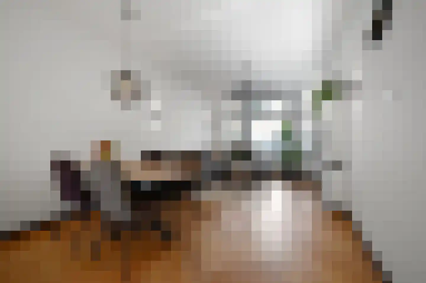 Piet Heinstraat 48 Delft thumbnail 17