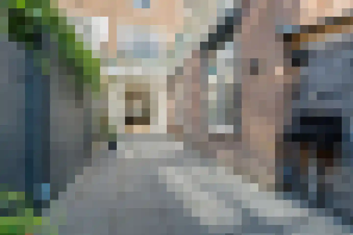 Piet Heinstraat 48 Delft thumbnail 25