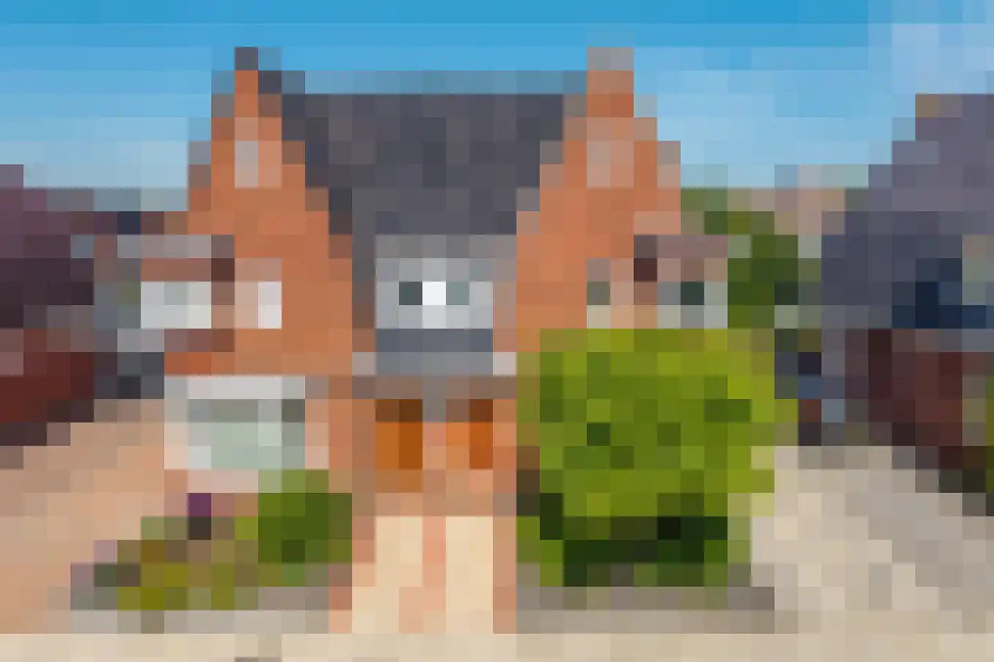 Piet Heinstraat 5 Delfzijl thumbnail 11