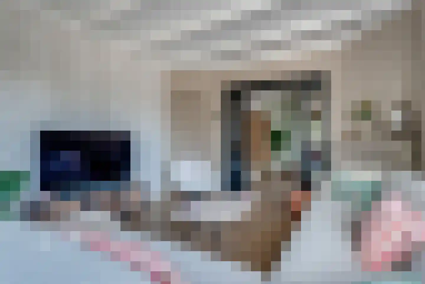 Piet Heinstraat 5 Delfzijl thumbnail 22