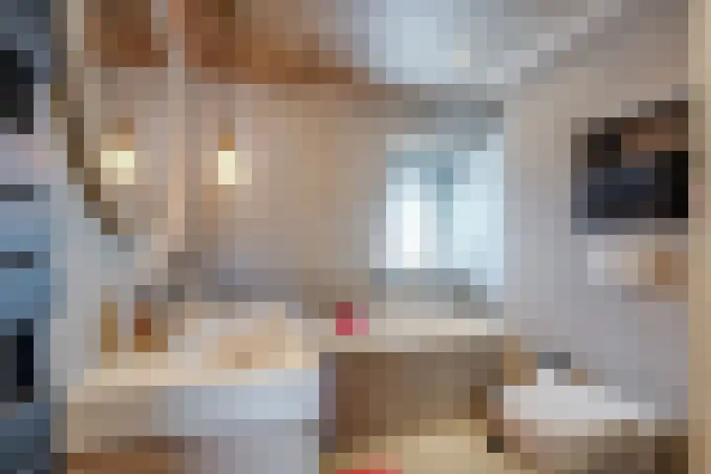 Piet Heinstraat 5 Delfzijl thumbnail 4