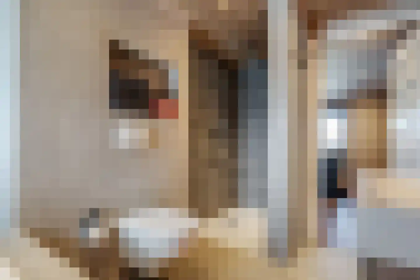 Piet Heinstraat 5 Delfzijl thumbnail 43
