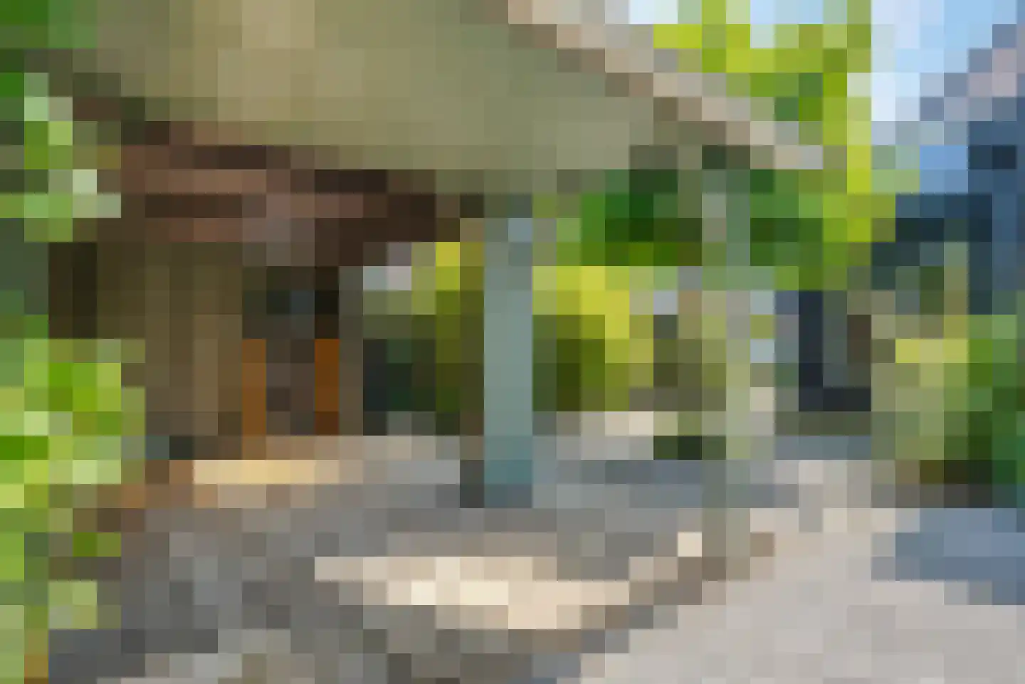 Piet Heinstraat 5 Delfzijl thumbnail 53